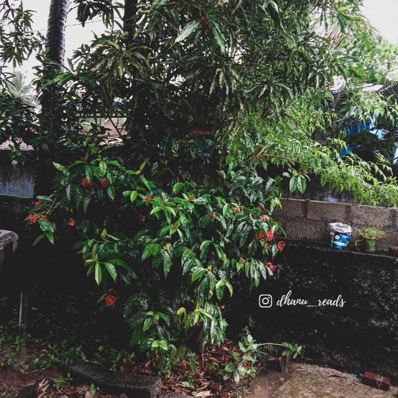 An Indian Book Blog to Quench Your Bookish Thirst Forever